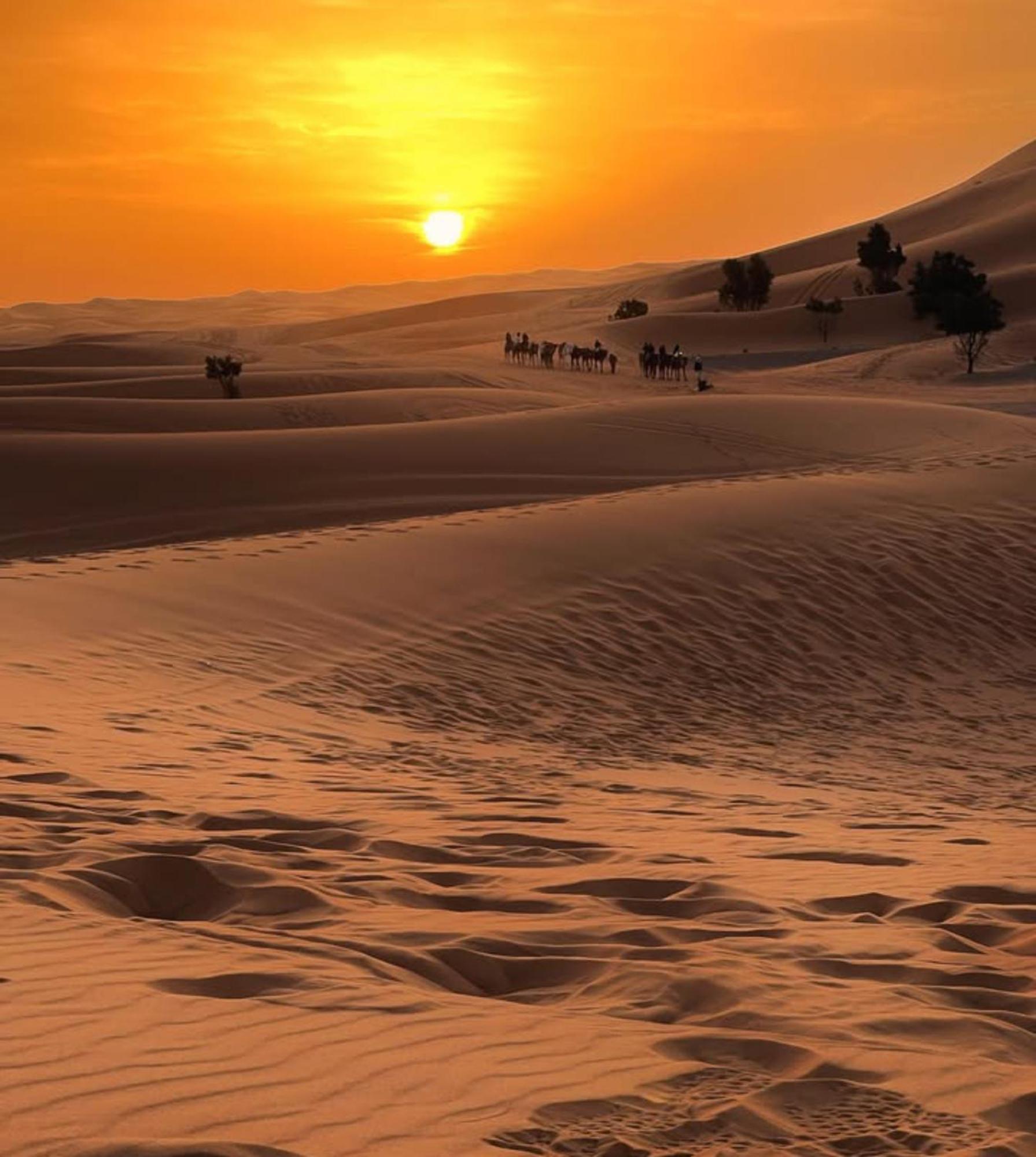 Merzouga Desert Campsite &Activities Kültér fotó